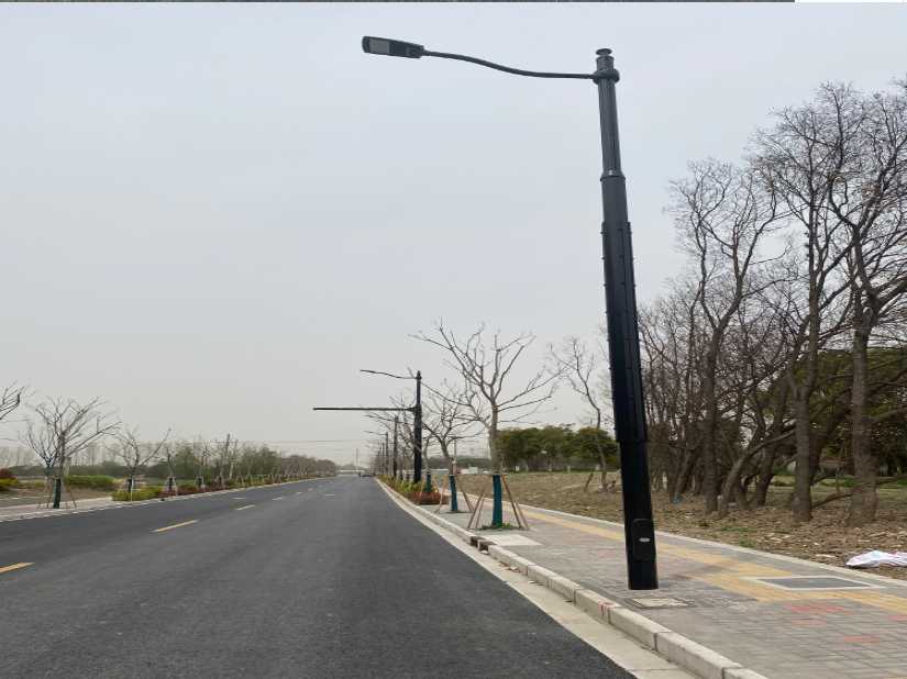 东宝区上海综合杆 太阳能路灯工程